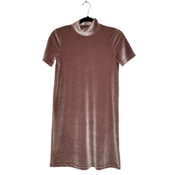 Madewell Dresses & Skirts - Madewell Mauve Mock Neck Velvet Dress
